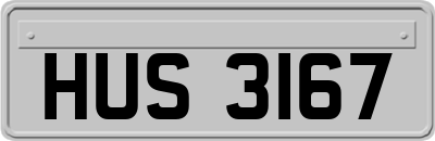 HUS3167