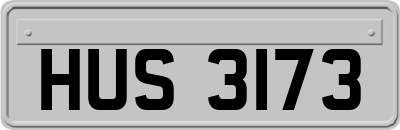 HUS3173