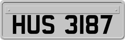 HUS3187