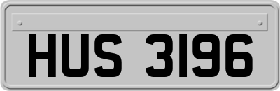 HUS3196