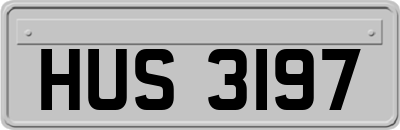 HUS3197