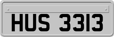 HUS3313