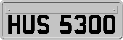 HUS5300