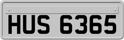 HUS6365