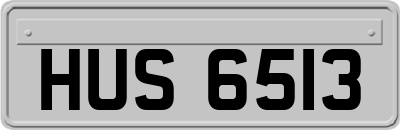 HUS6513