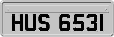 HUS6531