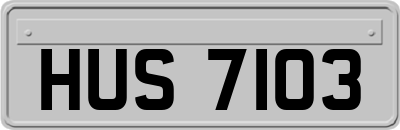 HUS7103