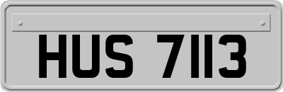 HUS7113