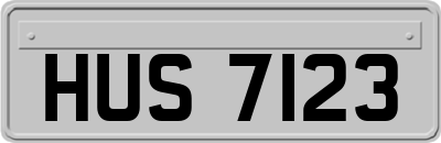 HUS7123