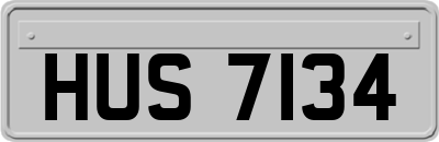 HUS7134