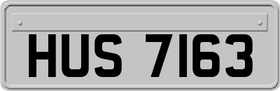 HUS7163