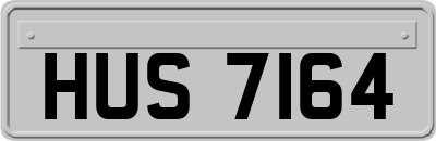 HUS7164