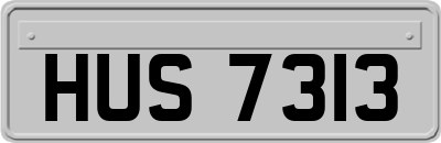 HUS7313