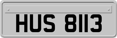 HUS8113