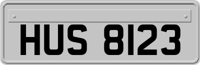 HUS8123