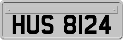 HUS8124