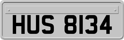 HUS8134