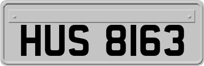 HUS8163