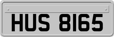 HUS8165