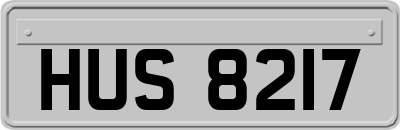 HUS8217