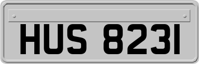 HUS8231