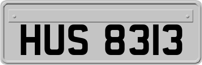 HUS8313