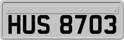 HUS8703