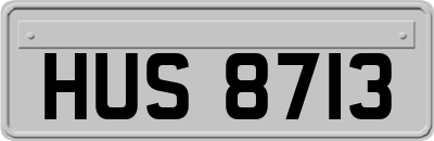 HUS8713