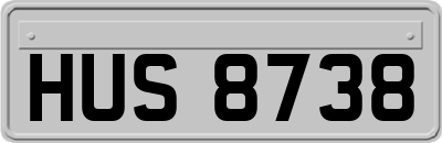 HUS8738