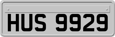 HUS9929