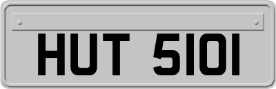 HUT5101