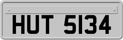 HUT5134