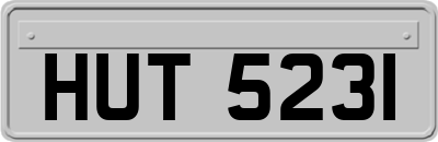 HUT5231