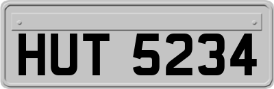 HUT5234