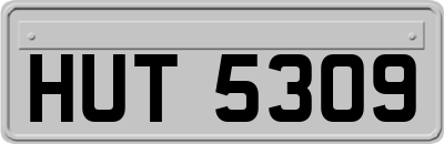 HUT5309