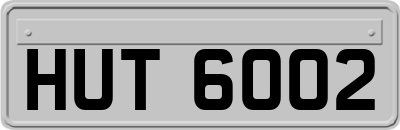 HUT6002