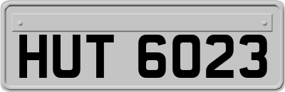 HUT6023