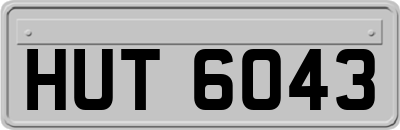 HUT6043