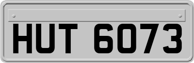 HUT6073