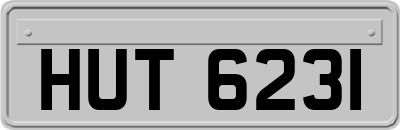 HUT6231