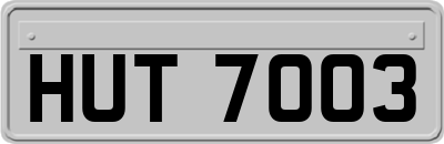 HUT7003