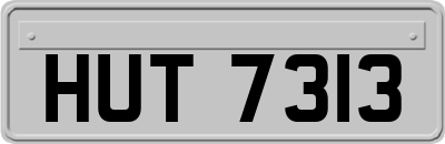 HUT7313