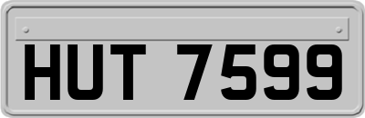 HUT7599