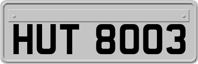 HUT8003