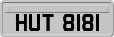 HUT8181