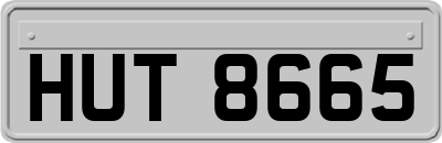 HUT8665