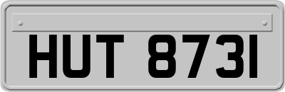 HUT8731