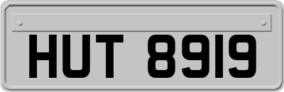 HUT8919