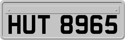 HUT8965