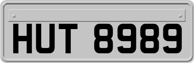 HUT8989